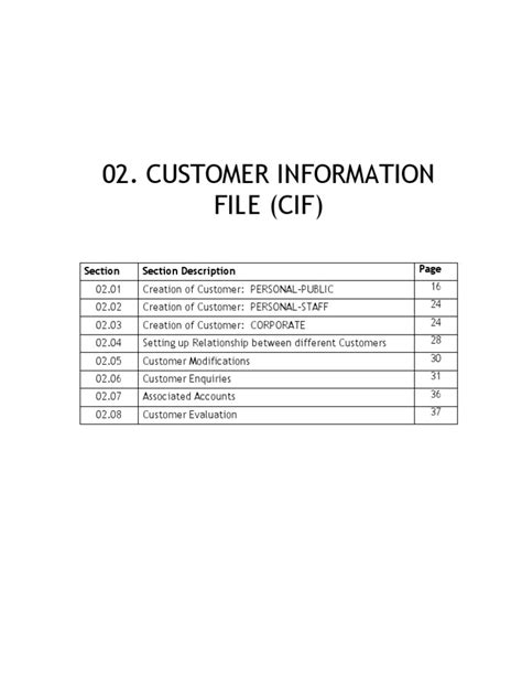 01 02-Cif | PDF | Identity Document | Debits And Credits