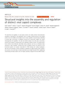 Structural Insights Into The Assembly And Regulation Of Distinct Viral