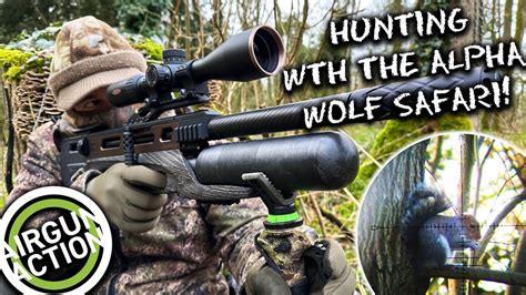 Airgun Action Hunting With The Daystate Alpha Wolf Safari Bsa