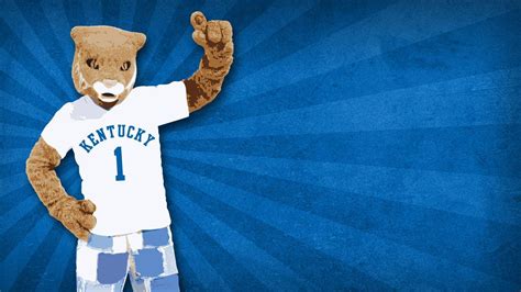 Download University Of Kentucky Mascot Wallpaper | Wallpapers.com