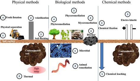 In Situ Soil Remediation Strategies Springerlink