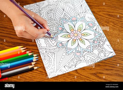 Livre De Coloriage Adulte Banque De Photographies Et Dimages à Haute