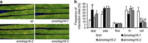 Mutant Analysis Reveals That Magnaporthe Oryzae Hypothetical Effector