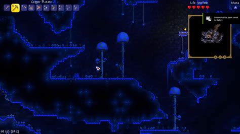 Ultimate Guide To NPC Happiness In Terraria Game Voyagers