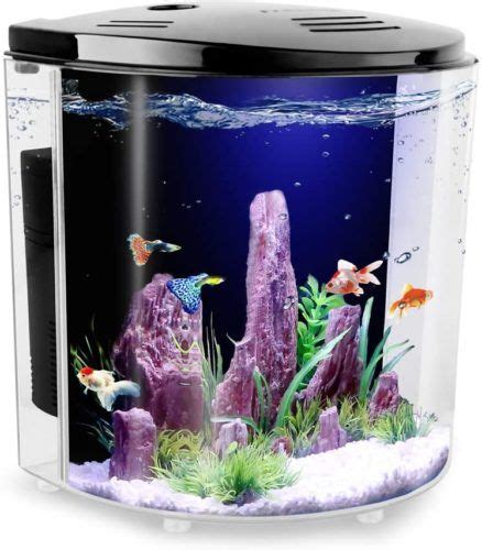 Top 10 Best Fake Fish Tanks Reviews In 2020 SuperiorTopList Fake