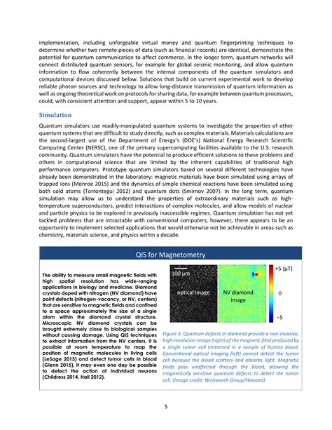 Advancing Quantum Information Science National Challenges And