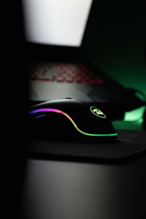 Tech Black And Purple Logitech Cordless Computer Mouse Devices Image Free Photo