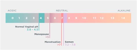 The Ultimate Vaginal Ph Balance Guide