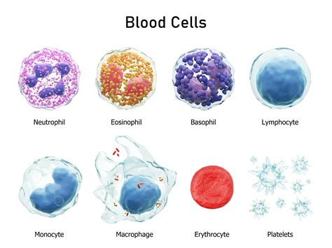 What is Hematology?