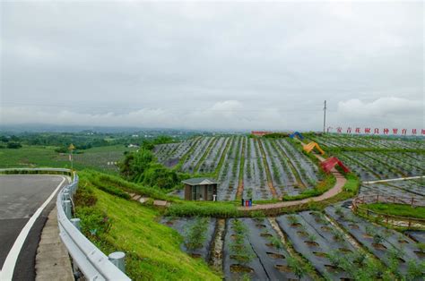 广安青花椒基地和渠江洪峰 中关村在线摄影论坛