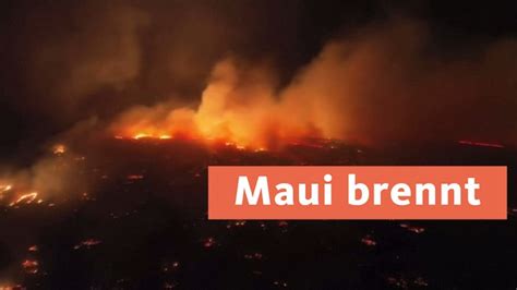 Waldbr Nde Auf Hawaii Insel Zahl Der Toten In Maui Auf Gestiegen