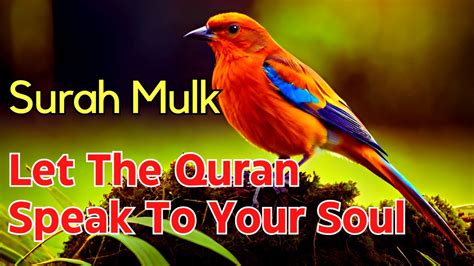 The Beauty And Benefits Of Reciting Surah Al Mulk With A Beautiful