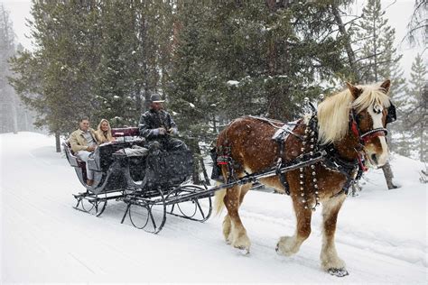 Winter Sleigh Ride Proposal in Breckenridge | PHOTOS