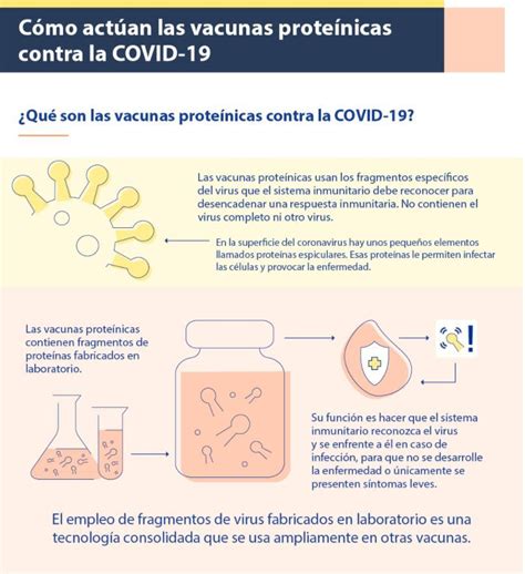 Infografía Cómo Actúan Las Vacunas Proteínicas Contra La Covid 19