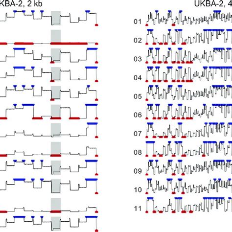 Overview of the MinION sequencing runs. | Download Scientific Diagram