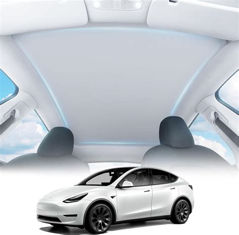 Amazon Tslaucay New Electrostatic Adhesion Tesla Model Y Roof