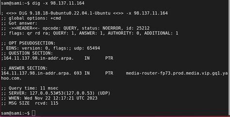 How To Install And Use Dig And Nslookup On Ubuntu For Network