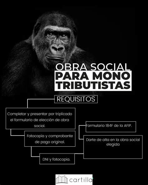 Todo Lo Que Necesitas Saber Sobre La Cartilla De Obras Sociales Para