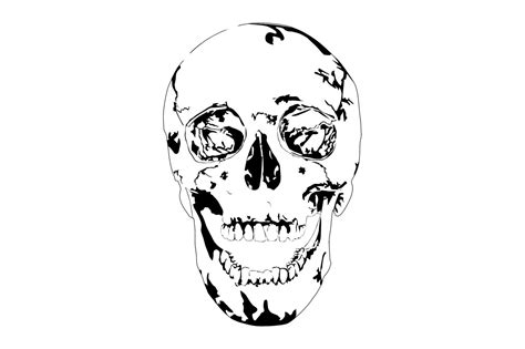 Skull SVG Vector, Halloween Illustration Graphic by artgraph · Creative ...