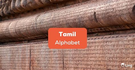 Guide 101 Fascinating Tamil Alphabet For You Ling