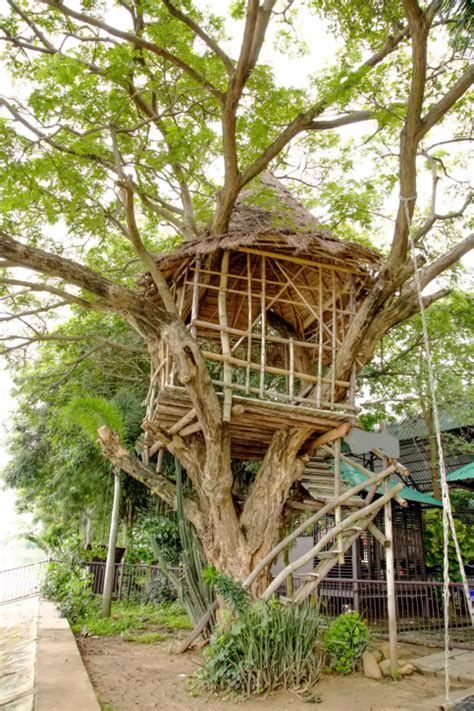 70 Fun Kids Tree Houses Picture Ideas And Examples