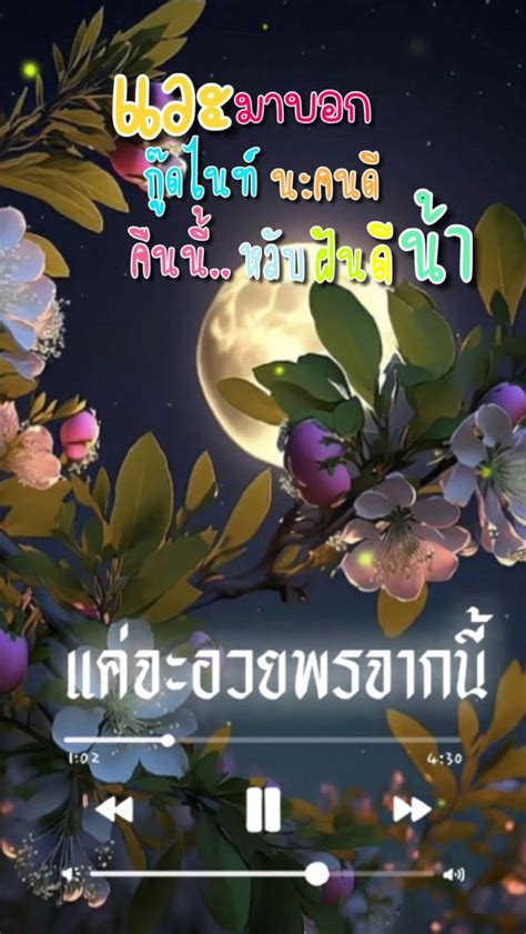 มูฟออนฝันดีเพลงซึ้งๆสตอรี่เพลง😊🥰🎧🎶 ราตรีสวัสดิ์  คำคมรูปภาพ