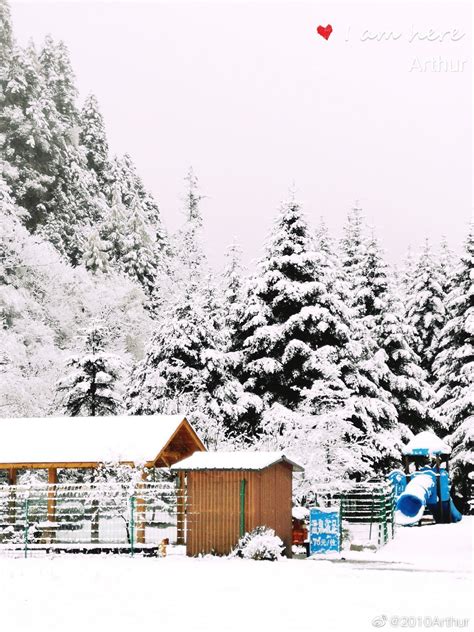 昨天是山里第一场雪，让我们赶上了，山上的毕棚沟将秋色冰封