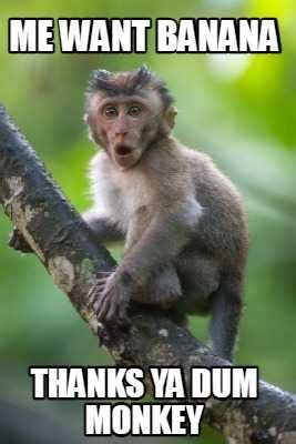 Monkey Meme Discover more interesting Baboon, Banana, Chimp, Gorilla ...