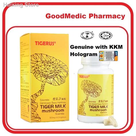 Genuine Tigerus Tiger Milk Mushroom Sclerotia Mg S Exp