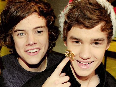 Harry Styles Y Liam Payne Gastan Su Fortuna Infobae