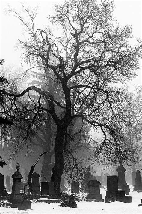 Black And White Cemetery And Cross Image Cemeteries Photography