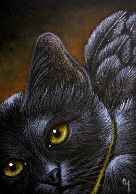 Black Angel Cat Golden Eyes By Cyra R Cancel From