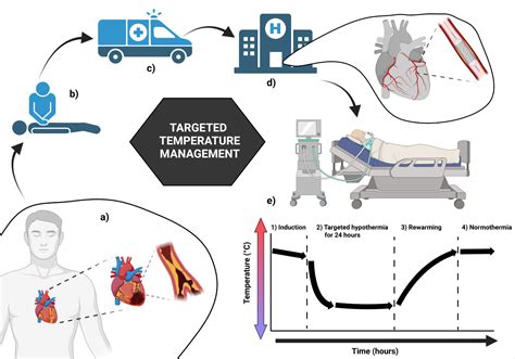 Temperature Management And Its Role In Cardiac Arrest Patients—a Review