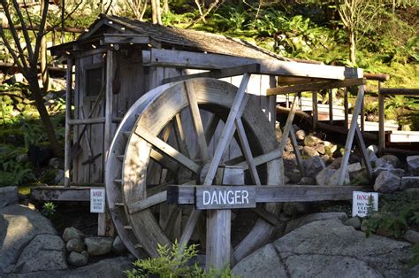 Photography in My Life: Capilano Suspension Bridge