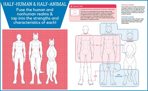 How To Draw Manga Furries The Complete Guide To Anthropomorphic Fantasy Characters