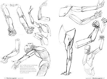 Actualizar más de 71 páginas para practicar anatomía dibujo camera edu vn