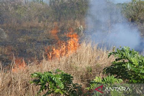 Bmkg Ingatkan Potensi Hujan Disertai Petir Di Kabupaten Di Ntt