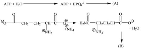 Solved Chapter 26 Problem 7p Solution Organic Chemistry 8th Edition