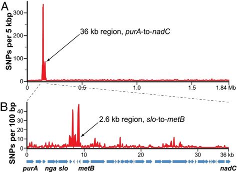 Evolutionary pathway to increased virulence and epidemic group A ... 