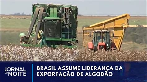 Brasil Na Liderança Da Exportação De Algodão Pela 1ª Vez Youtube