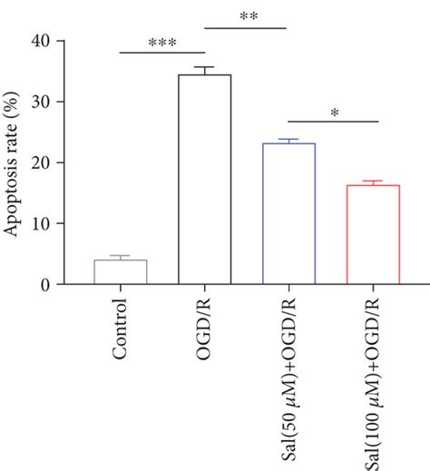 Sal Reduced The Apoptosis Of Primary Neurons And Promoted Neuronal