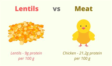 Lentejas Vs Carne Pollo Ternera Prote Nas Y Nutrici N Conciencia