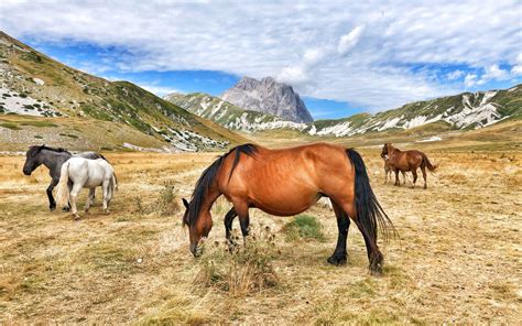 Esperienze Da Vivere Nel Parco Del Gran Sasso In Abruzzo Oltreilbalcone