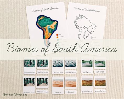 map of south america biomes