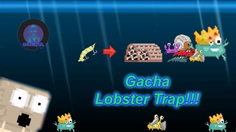 Teori Nunggu Hari Makan Food Buff Gacha Lobster Trap Growtopia