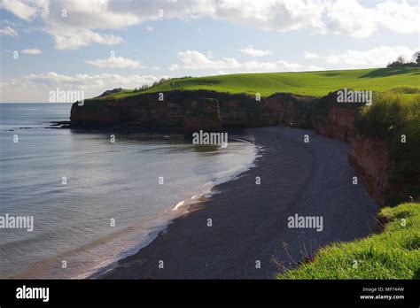 Red Sandstone Sea Stacks And Cliffs Of The Jurassic Coast World Heritage Site At Ladram Bay