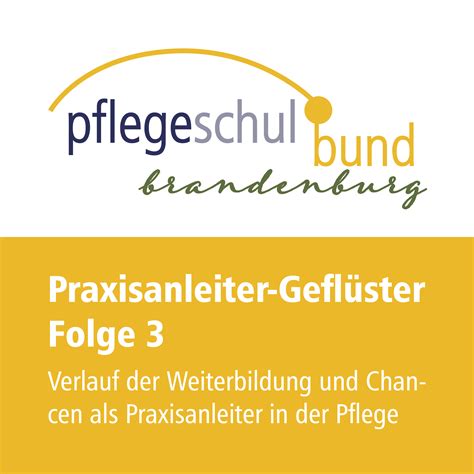 Folge 3 Verlauf Der Weiterbildung Und Chancen Als Praxisanleiter In