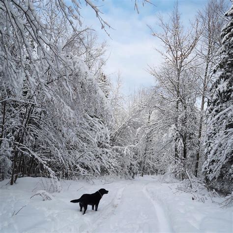 One Perfect Winter Day in Marquette, Michigan: A Local's Guide — Em's ...