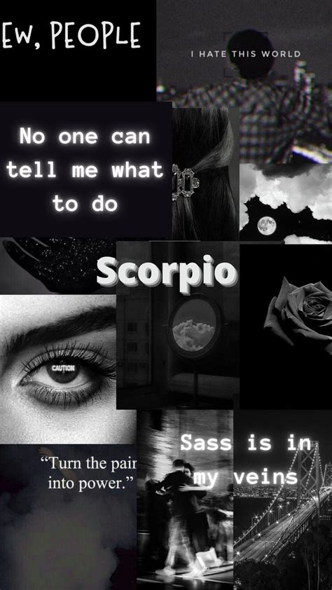 Scorpio Aesthetic Wallpaper | Scorpio art, Scorpio, Classy wallpaper