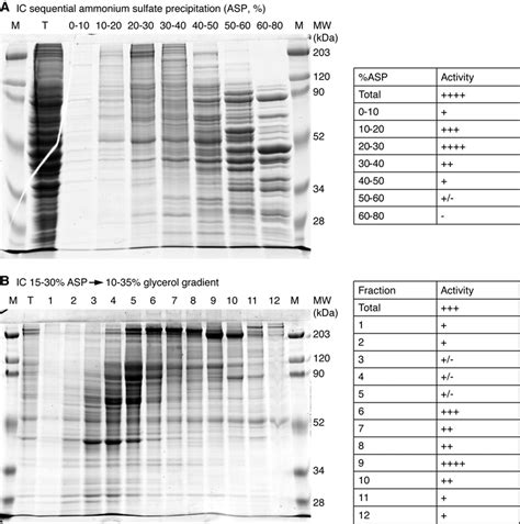 Figure S2 Enrichment Of Cytosolic Proteins That Enhance Grasp65 Beads Download Scientific